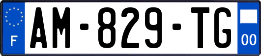 AM-829-TG