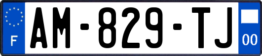 AM-829-TJ