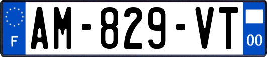 AM-829-VT