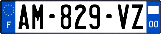 AM-829-VZ