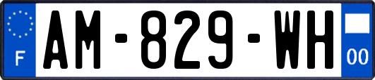 AM-829-WH
