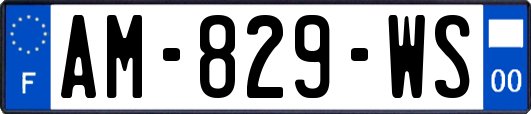 AM-829-WS