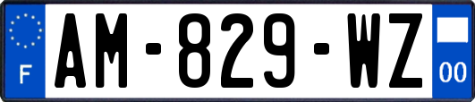 AM-829-WZ