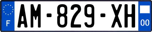 AM-829-XH