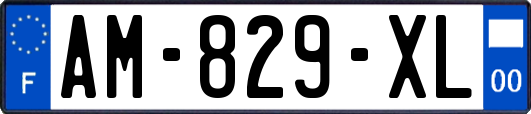 AM-829-XL