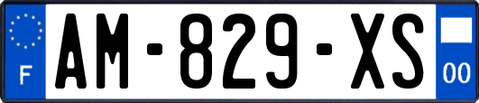 AM-829-XS