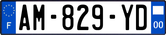 AM-829-YD