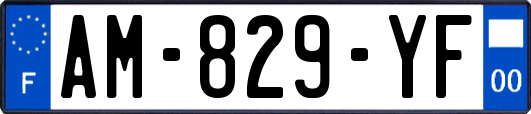 AM-829-YF