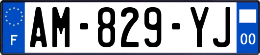 AM-829-YJ