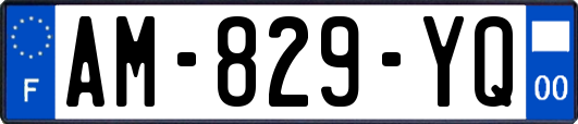 AM-829-YQ