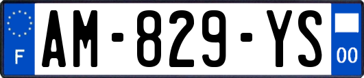 AM-829-YS