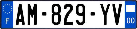 AM-829-YV