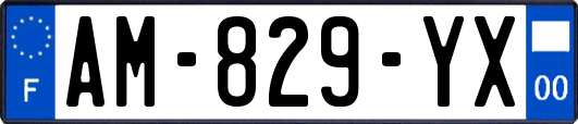 AM-829-YX