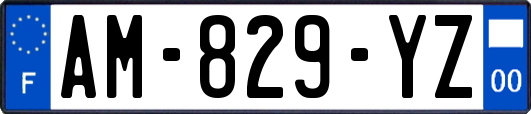 AM-829-YZ