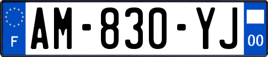 AM-830-YJ