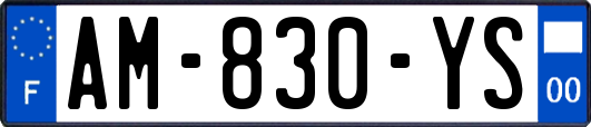 AM-830-YS