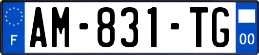 AM-831-TG