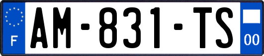 AM-831-TS