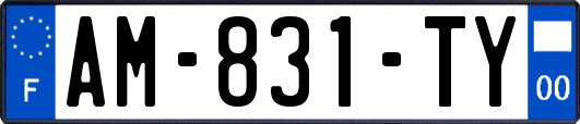 AM-831-TY