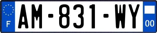 AM-831-WY