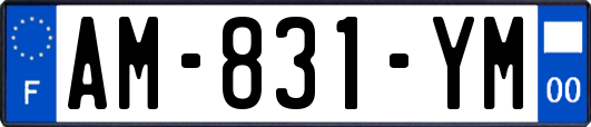 AM-831-YM