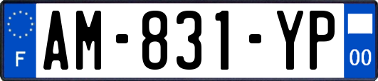 AM-831-YP