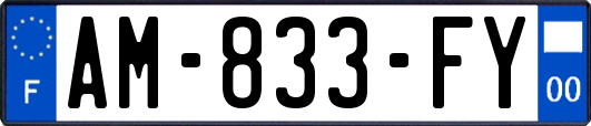 AM-833-FY