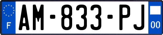 AM-833-PJ