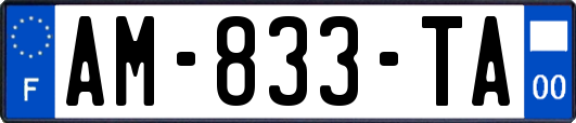 AM-833-TA