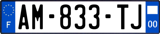 AM-833-TJ