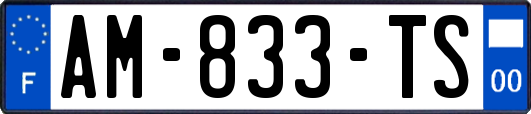 AM-833-TS