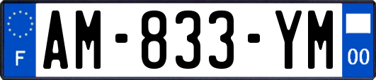 AM-833-YM