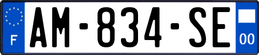 AM-834-SE
