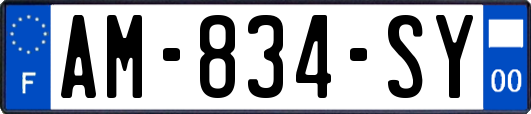 AM-834-SY