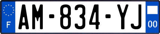 AM-834-YJ