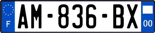 AM-836-BX