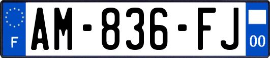 AM-836-FJ