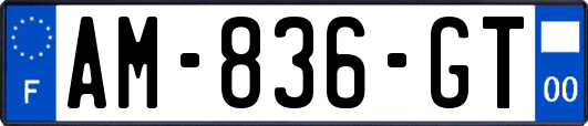AM-836-GT