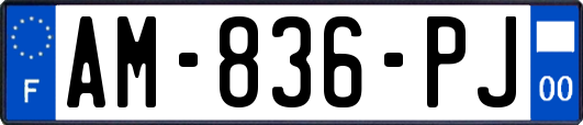 AM-836-PJ