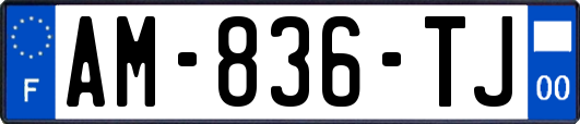 AM-836-TJ