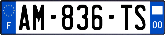 AM-836-TS