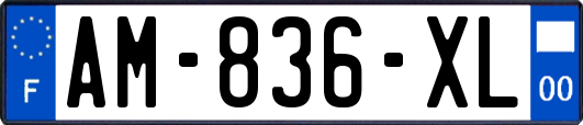 AM-836-XL