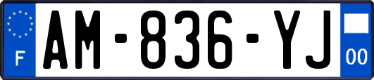 AM-836-YJ