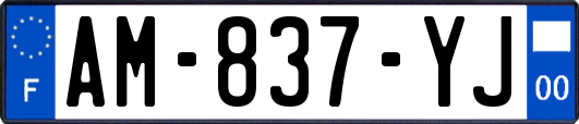 AM-837-YJ
