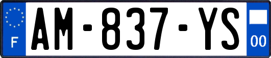 AM-837-YS