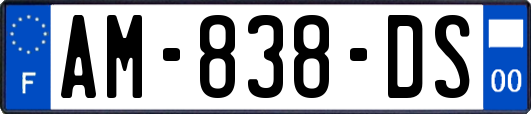 AM-838-DS