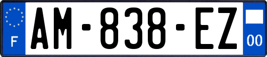 AM-838-EZ