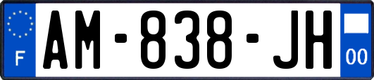 AM-838-JH