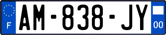 AM-838-JY