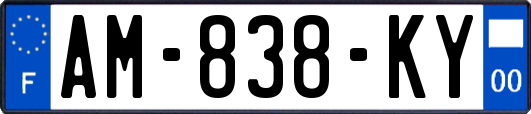 AM-838-KY